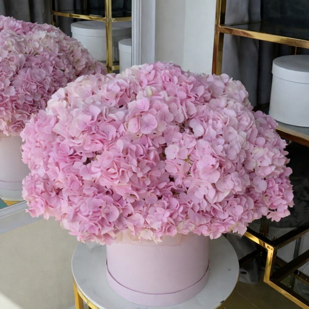 Pink Love Cloud - Image 1