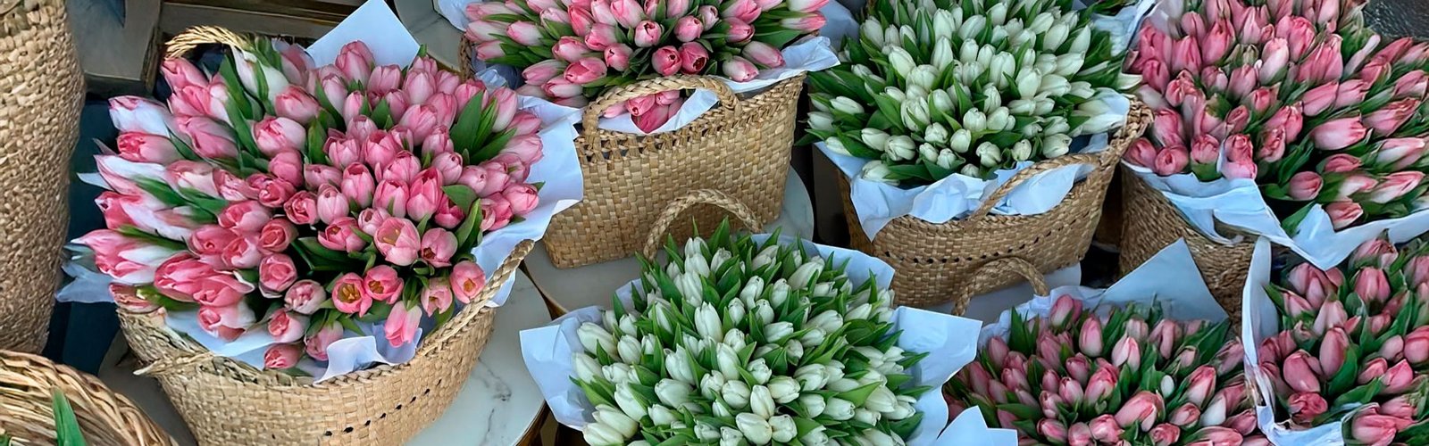 Tulips Baskets